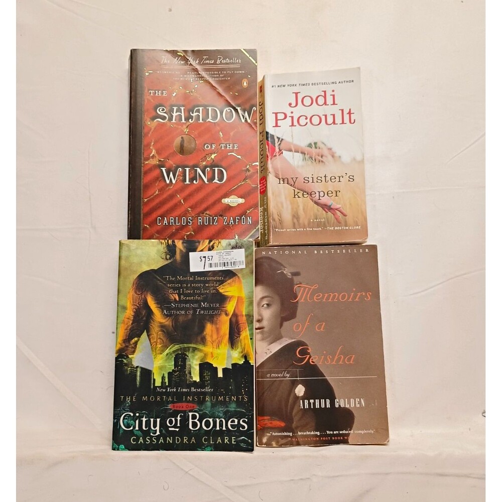 4 Book Paperback Lot Zafon Picoult Clare Golden Shadow Wind City Bones Geisha